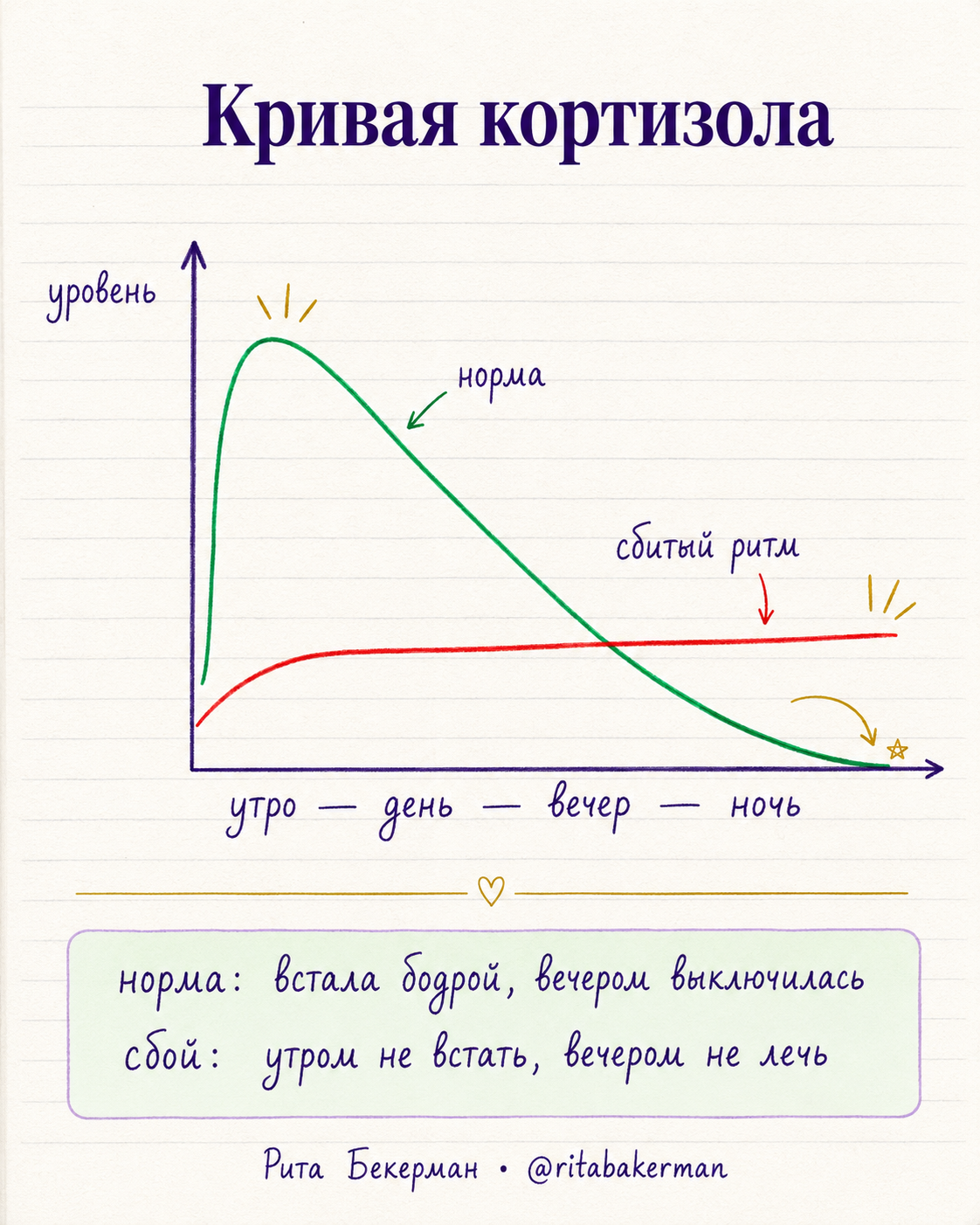 Схема суточной кривой кортизола: норма и сбитая кривая