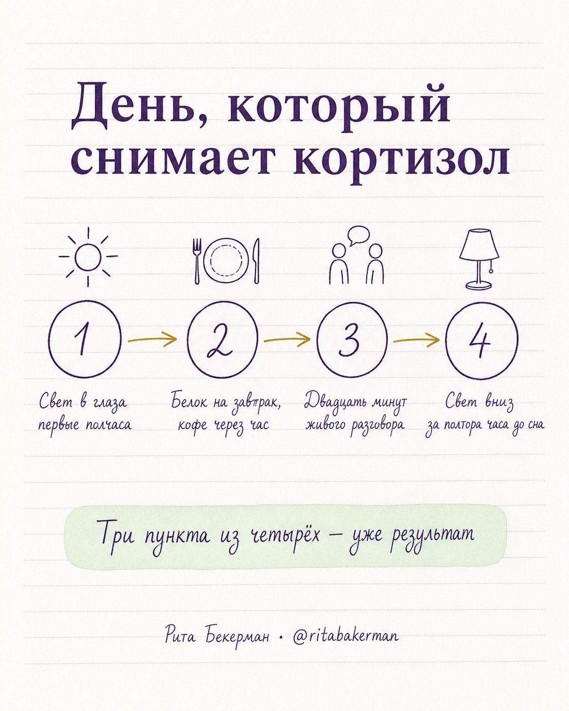 Протокол дня: свет, еда, контакт, вечер