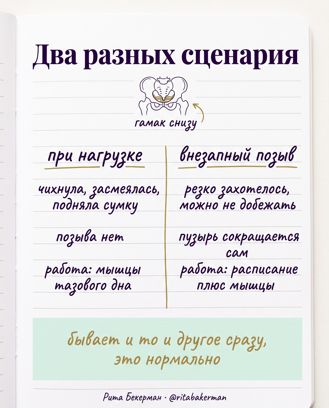 Стрессовое недержание и гиперактивный пузырь: чем отличаются