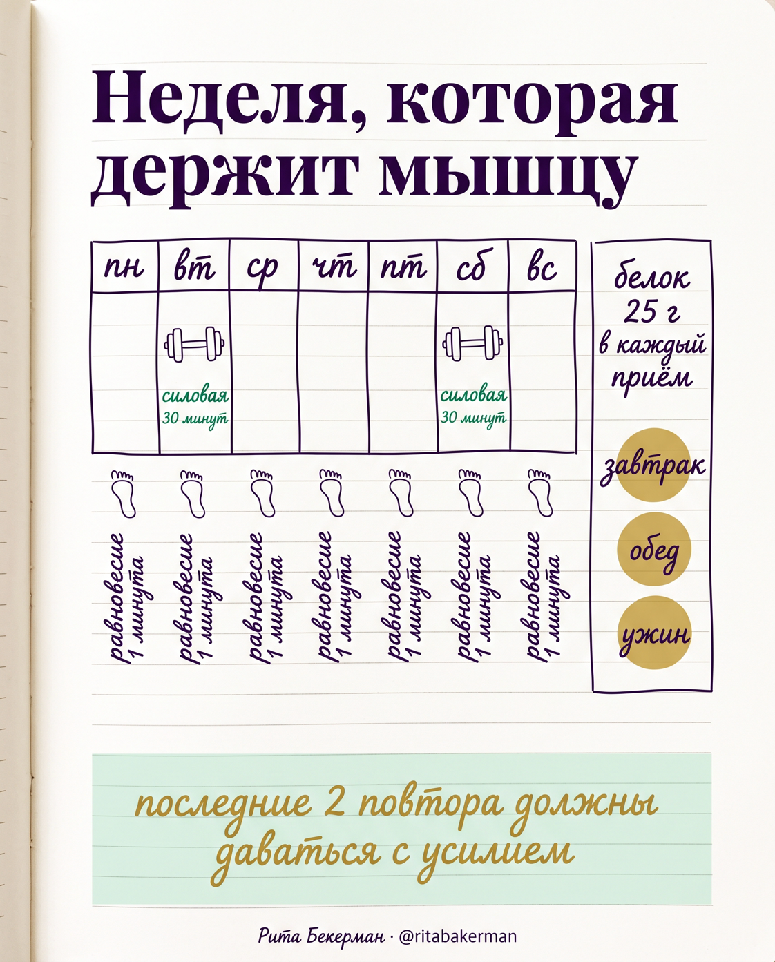 Неделя: 2 силовые, равновесие каждый день, белок по приёмам