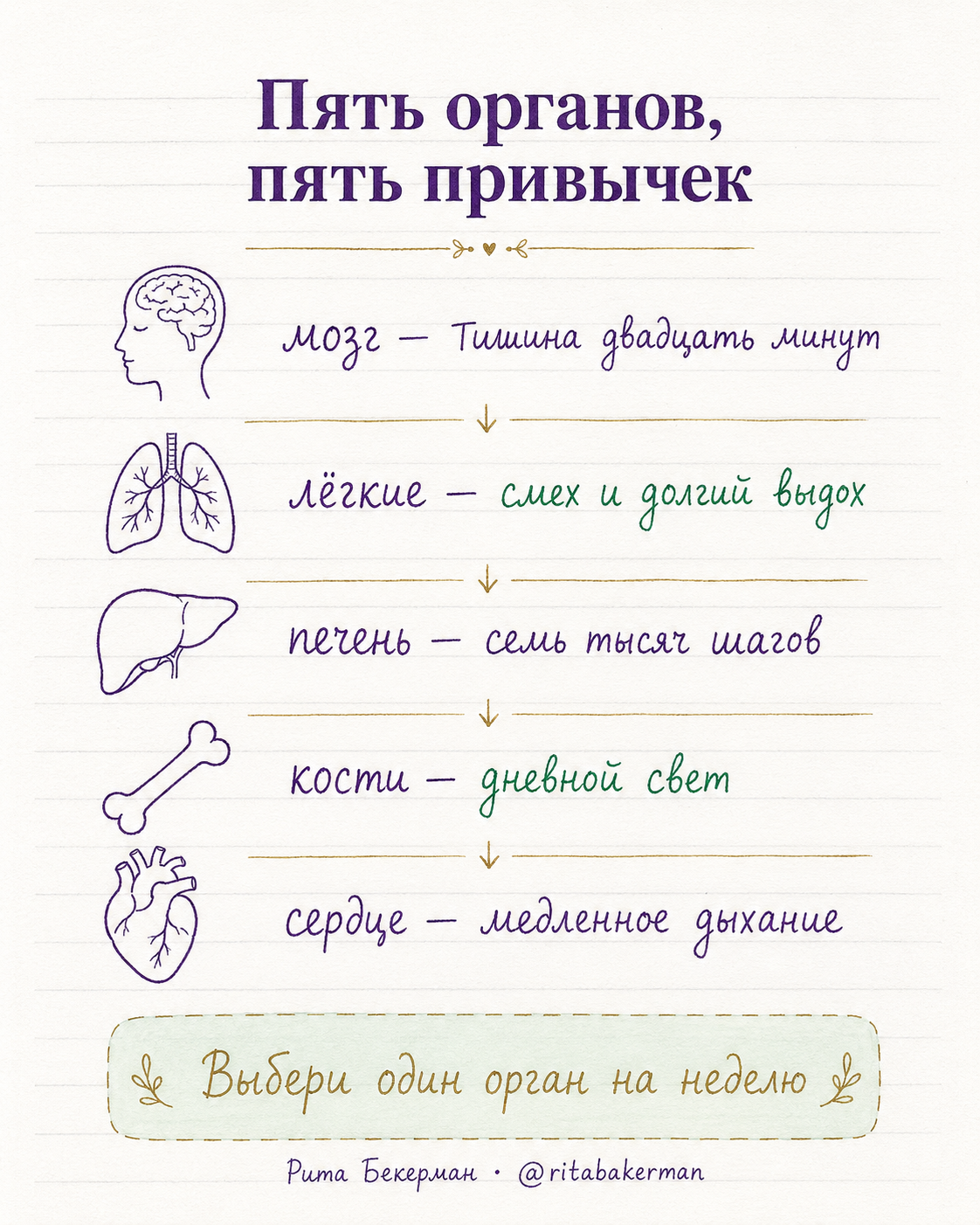 Пять органов и что нужно каждому