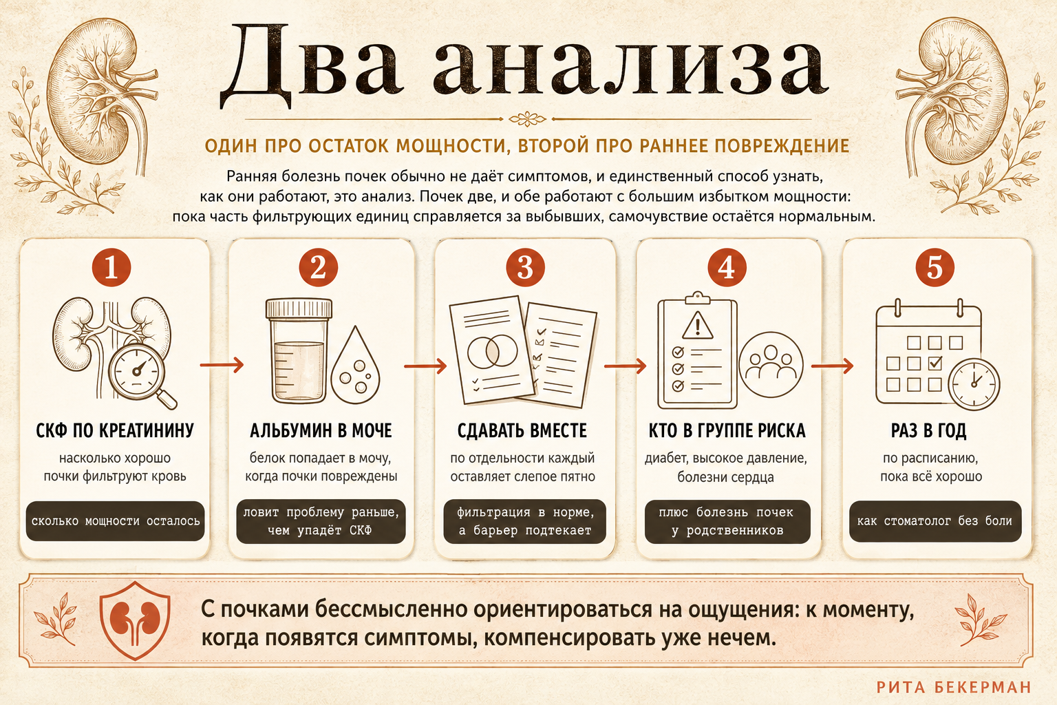 Два анализа для проверки почек