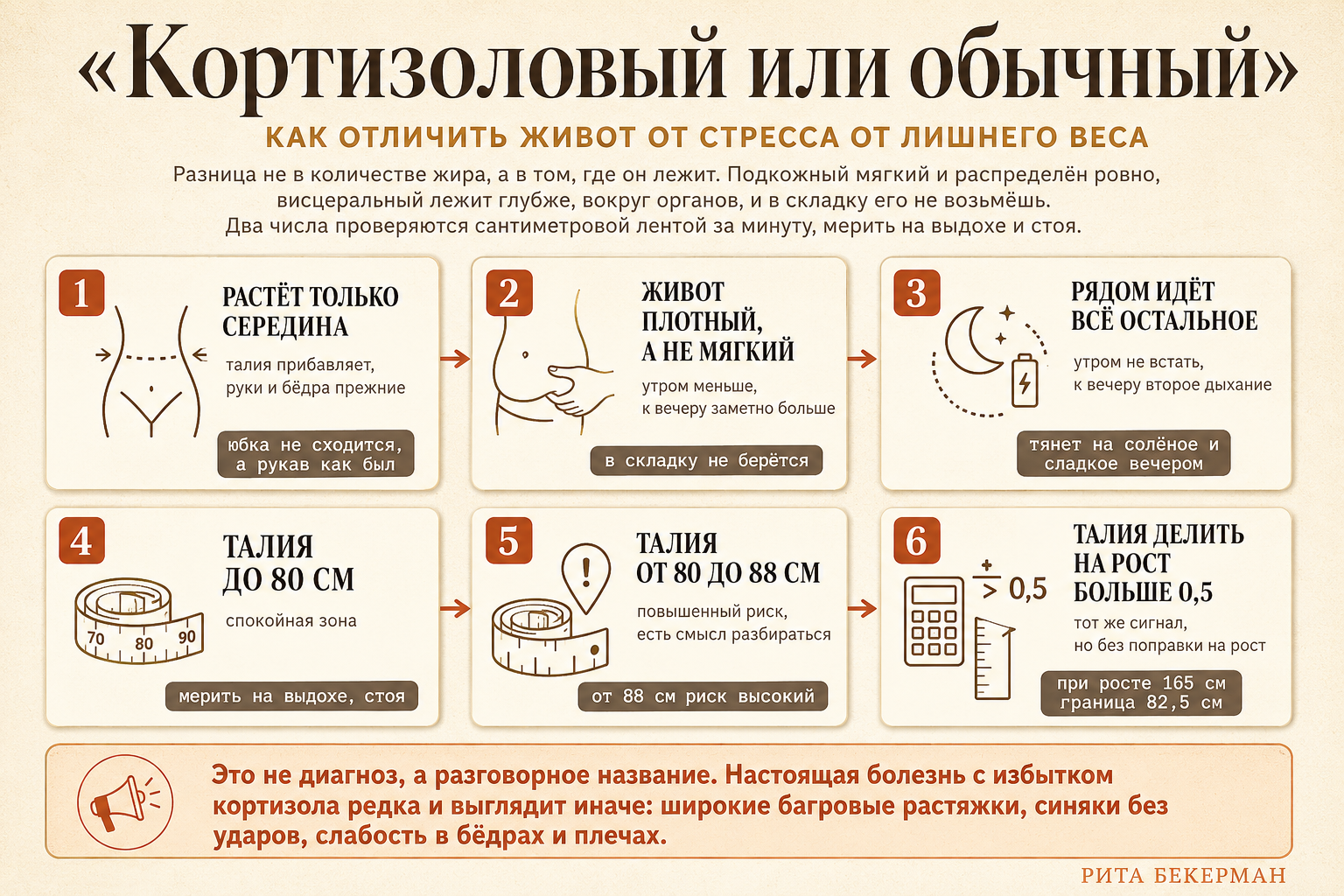 Схема: чем кортизоловый живот отличается от обычного